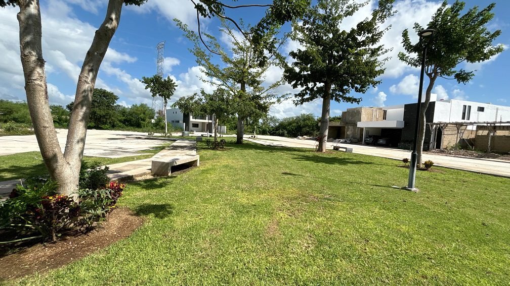 DJI_20241021_131758_544