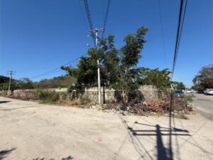 VISTA EXTERIOR TERRENO EN VENTA MERIDA ROBLE AGRÍCOLA