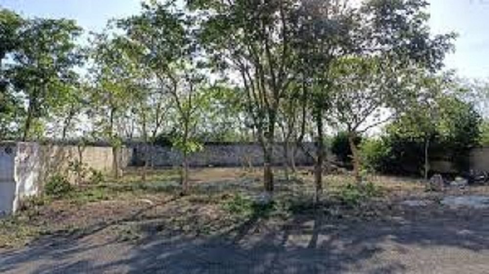 TERRENOS CONKAL SON 4 (1)