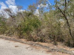 VENTA TERRENO MERIDA NORTE KIKTEIL