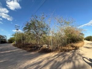 vista exterior terreno en nventa Merida norte altozano