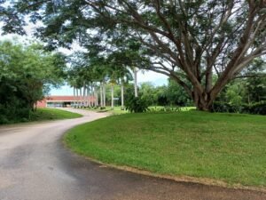 Vista terreno en venta en conkal la reserva