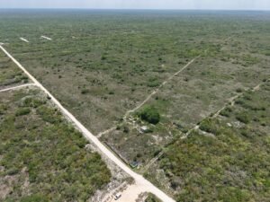 Imagen de los avances d eobra de los terrenos en venta Gran Telchac